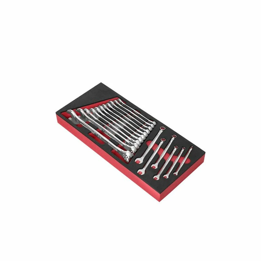 Outlet 🌟 Module de clés mixtes FACOM - Plateau thermoformé et mousse - 17 pcs - MODM.440-1 🤩 1 Outlet 🌟 Module de clés mixtes FACOM - Plateau thermoformé et mousse - 17 pcs - MODM.440-1 🤩