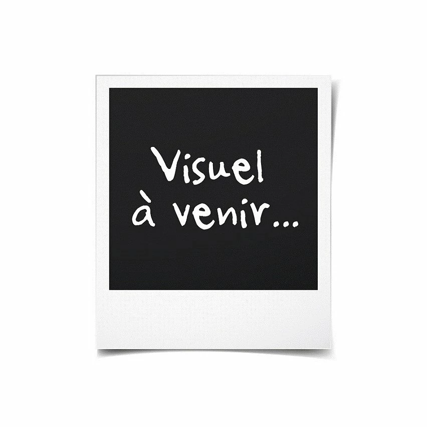 Top 10 👏 METABO perceusse percussion SB18 + atelier mobile + 2batteries 2Ah 🛒 2 Top 10 👏 METABO perceusse percussion SB18 + atelier mobile + 2batteries 2Ah 🛒 – Image 2