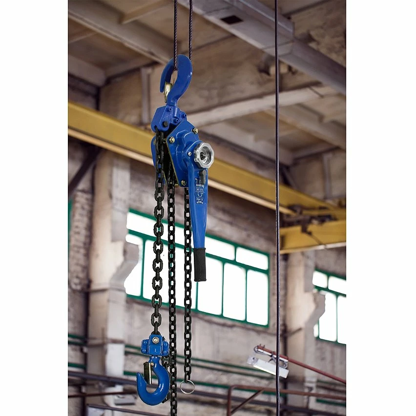 Best reviews of 🔔 ECD Germany Bloc de poulie avec levier à main 6000 kg 💯 7 Best reviews of 🔔 ECD Germany Bloc de poulie avec levier à main 6000 kg 💯 – Image 7